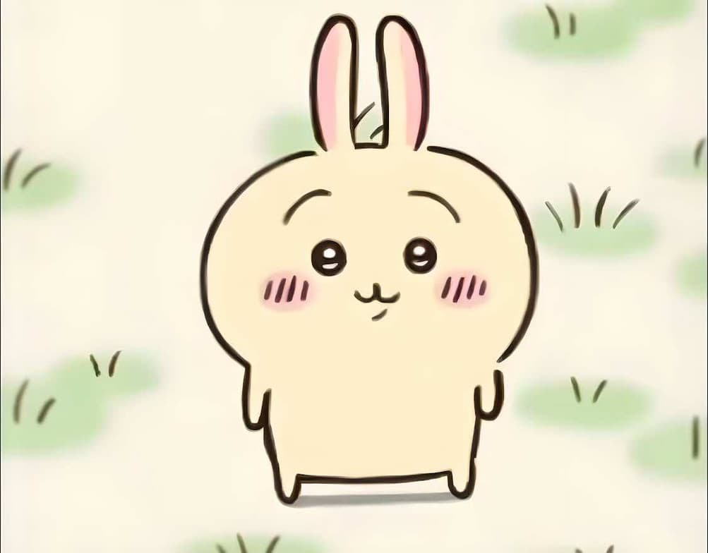 Cute rabbit character